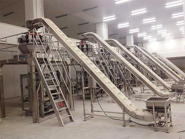 智能化全自動速凍食品草莓污污污官方网站提升企業生產效率